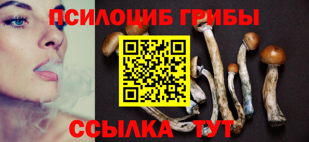 Котовск  Галлюциногенные грибы MAGIC MUSHROOMS  Вход с VPN 